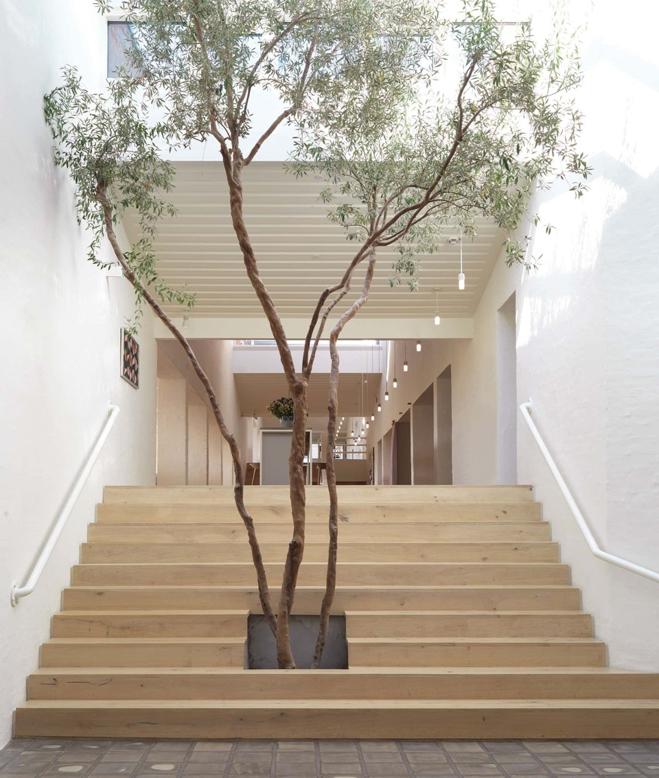 oak-planks-heartoak_treatment-light-oil_kvadrat-hq_stairs_tree_dinesen.jpg