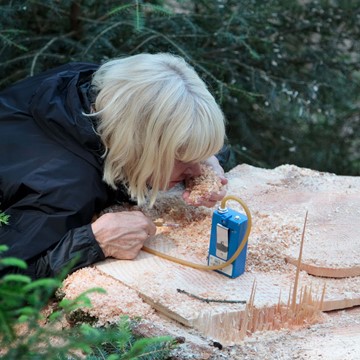 a-sense-of-dinesen_sissel-tolaas_tree-schwarzwald-forest.jpg
