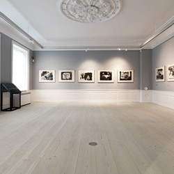 Douglas-flooring-Kunstforeningen-GL-strand.jpg