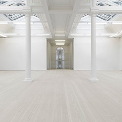 Douglas-flooring-Marian-Goodman-Gallery.jpg