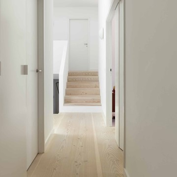 Dinesen-supervision.jpg