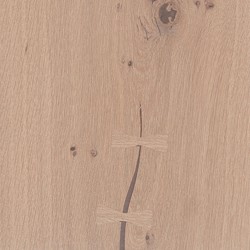 HeartOak-Light-Oil.jpg (1)