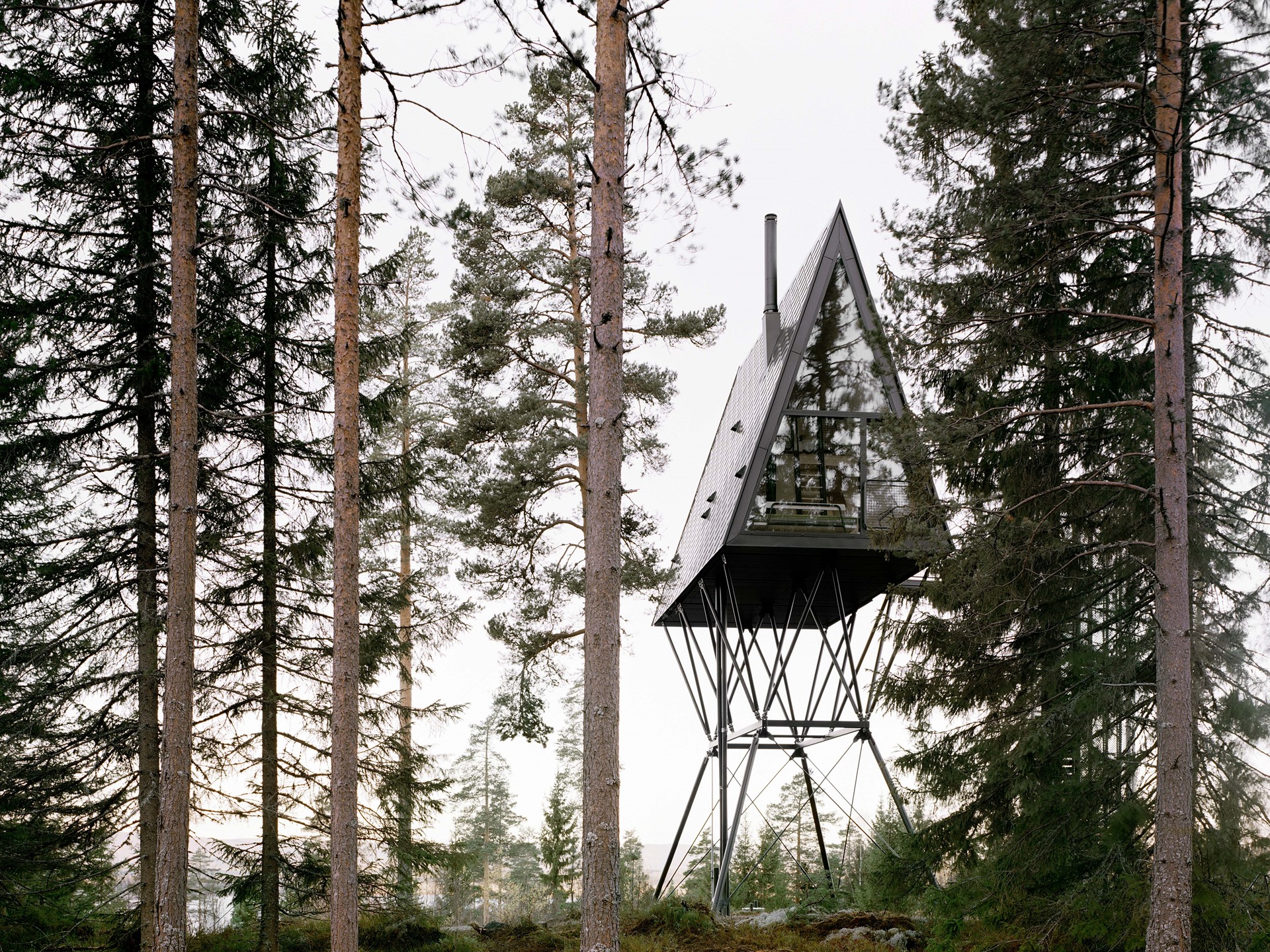 Douglas Natural – 28x300 – 3,8 m – LHO – PAN Tretopphytter – Espen Surnevik – Photo Rasmus Norlander - 1.jpg