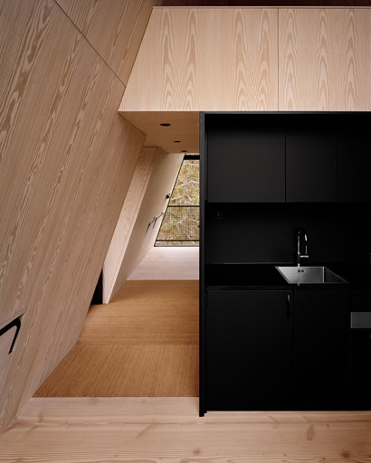 Douglas Natural – 28x300 – 3,8 m – LHO – PAN Tretopphytter – Espen Surnevik – Photo Rasmus Norlander - 2.jpg