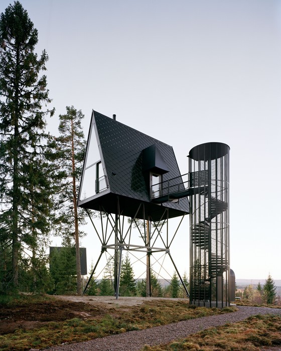 H28x300 - 3_8 m - LHO - PAN-tretopphytter - Espen Surnevik 11 - udefra.jpg