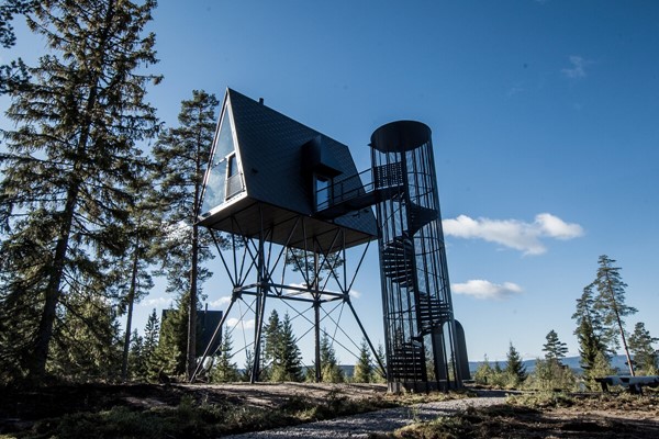 H28x300 - 3_8 m - LHO - PAN-tretopphytter - Espen Surnevik 09 - udefra.jpg