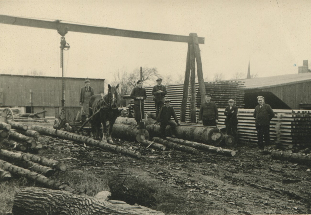 1._ 2._ 3. generation (2).jpg