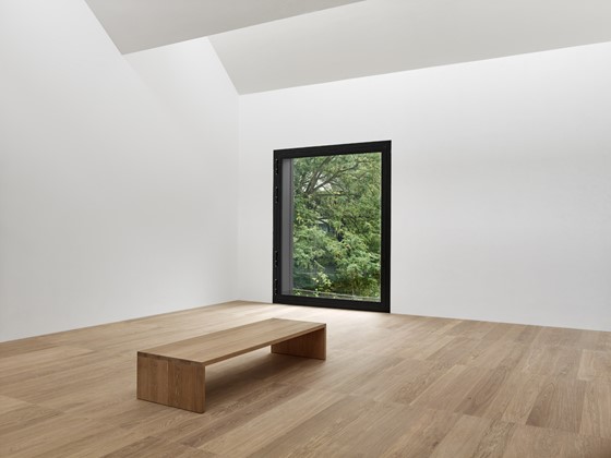 Oak Classic - H22x150_200_250 - 1.8 m - Not our finsh - Josef Albers Museum Quadrat Bottrop - DE - Gigon Guyer Architekten - Photographer Stefan Müller - NOT PR_3.jpg