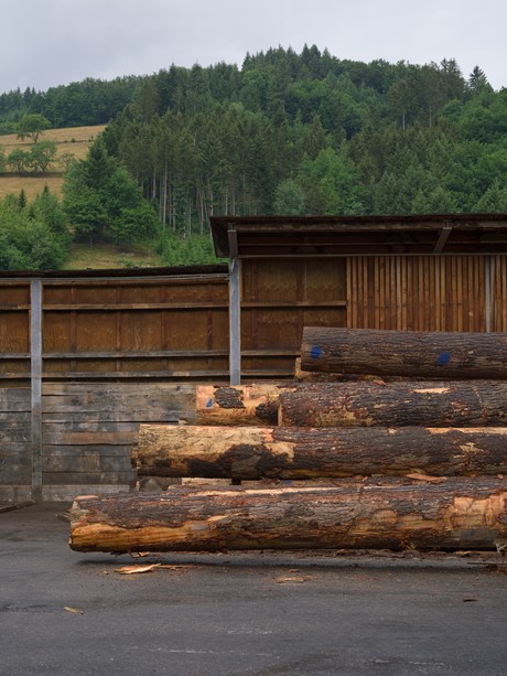 Schwarzwald forest – Sawmill Messmer - 2022 – Photo Hampus Berndtson - low res. -145.jpg