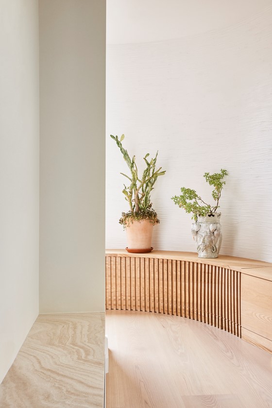 Ask Classic_22x300_1-3 m_IO_Maison Ferndale_USA_Studio Zung_ Photo Jonathan Anders Hókklo_ PR_01.jpg