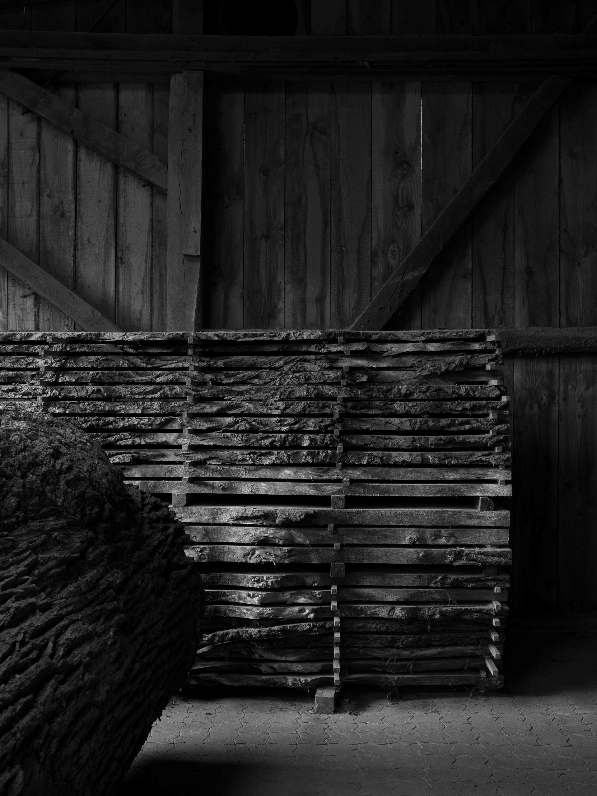 Dinesen - Jels .jpeg