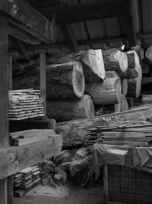 Dinesen - Stammer.jpg