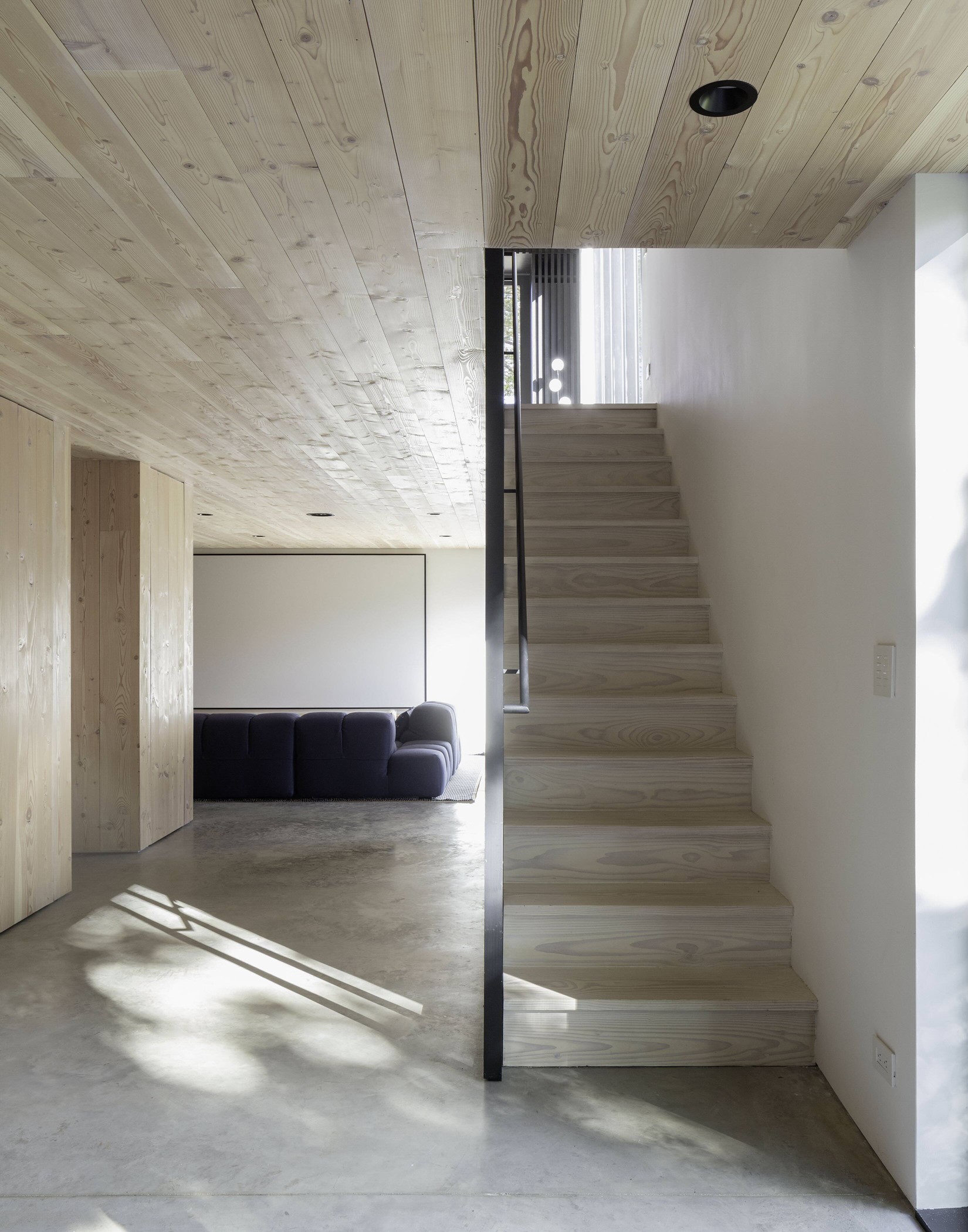 Douglas Classic - 28x300 - 2-5m - WO - US - North Salem Farm - Worrell Yeung - Photo Naho Kubota - PR - 11.jpeg